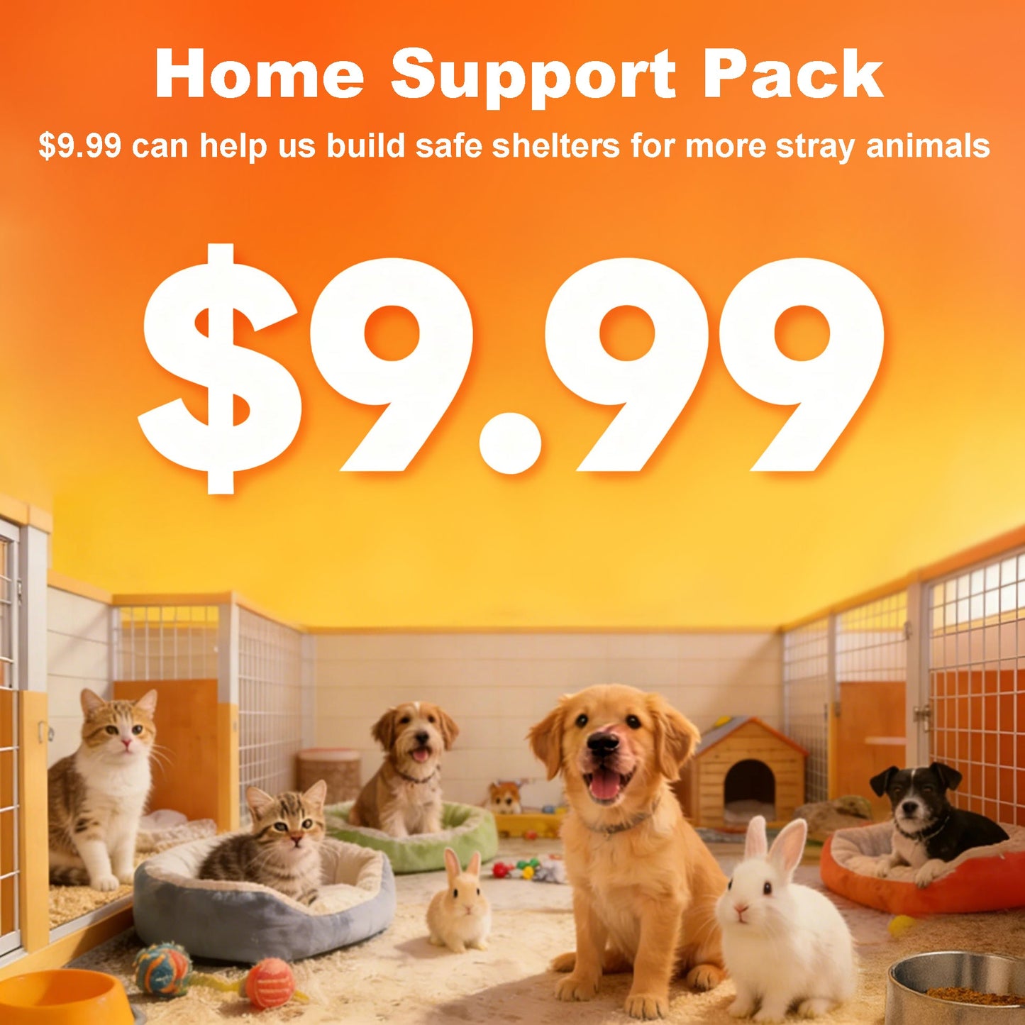 I need help adding a little love for my furry friend! Willing to donate to.