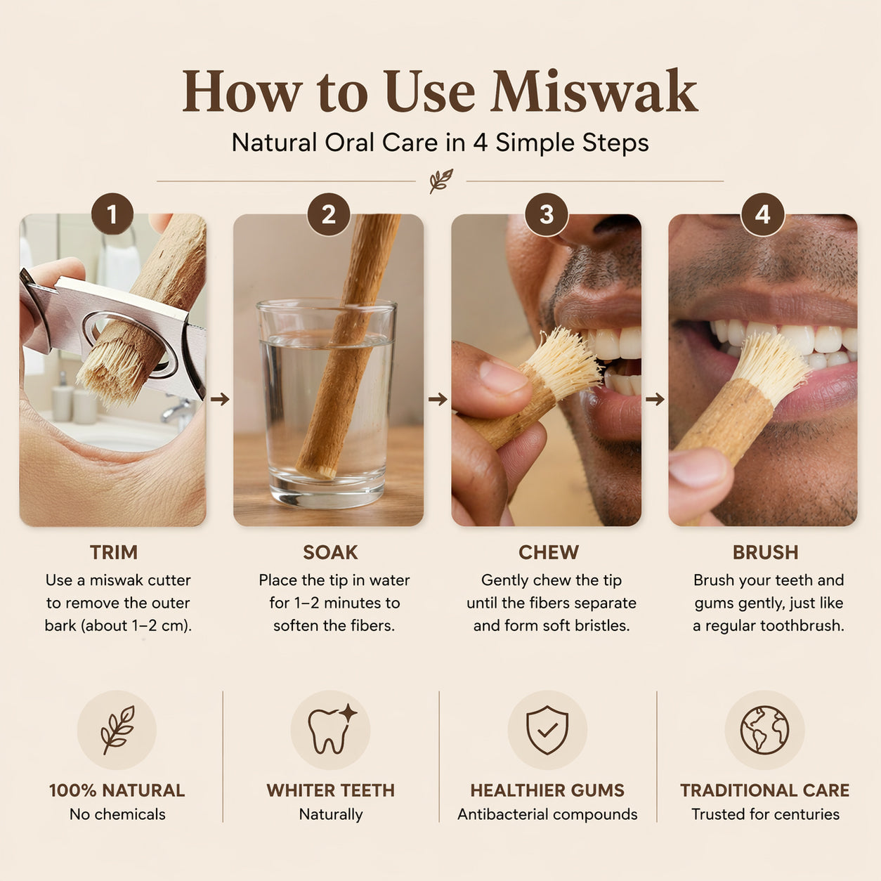 Miswak - Nature's Original Toothbrush 🌿