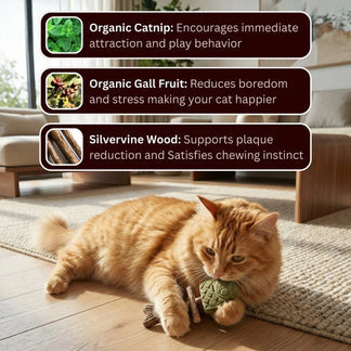 Day Sale 50% OFF Catnip & Silvervine Chew