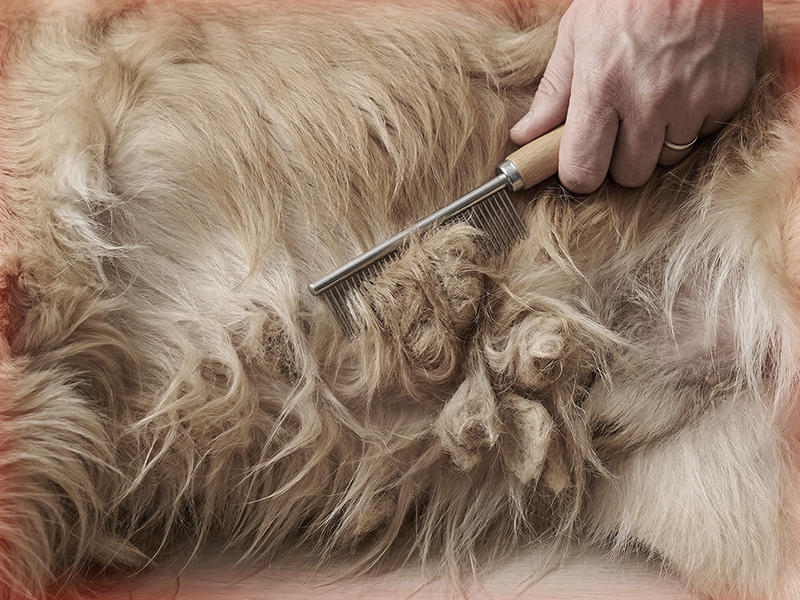Stubborn Mats, Hard Knots