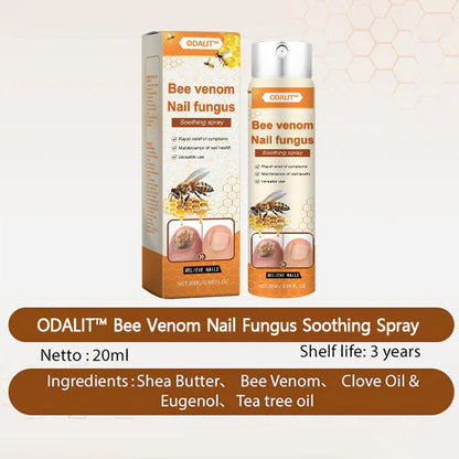 🔥Final 3 Hours: 80% OFF - ODALIT™ Bee Venom Nail Fungus Soothing Spray 🐝