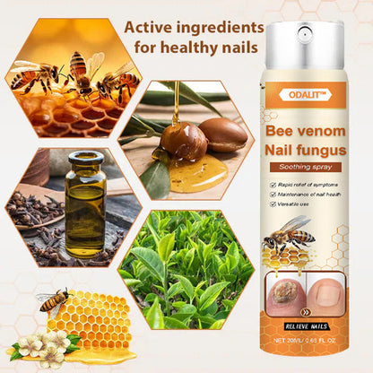 🔥Final 3 Hours: 80% OFF - ODALIT™ Bee Venom Nail Fungus Soothing Spray 🐝