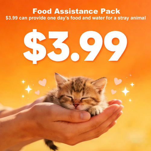 I need help adding a little love for my furry friend! Willing to donate to.