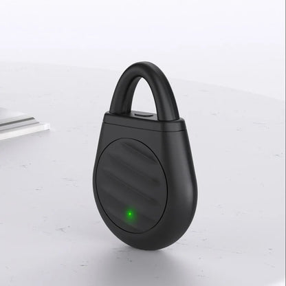 Portable Ultrasonic Bird Repellent Keychain