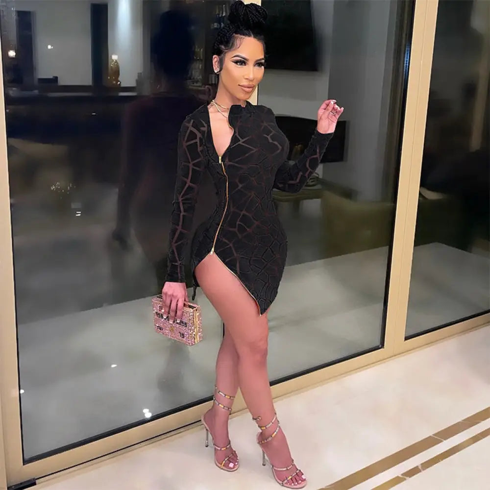 Zipped Mini Dress Dresses